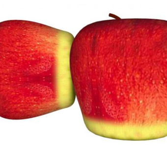 两个富士苹果SU模型下载_sketchup草图大师SKP模型