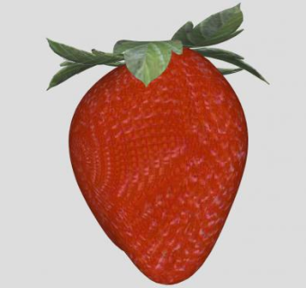 带叶的草莓水果SU模型下载_sketchup草图大师SKP模型