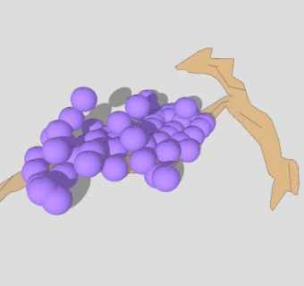 藤上的紫色葡萄SU模型下载_sketchup草图大师SKP模型