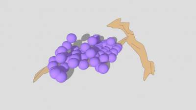 藤上的紫色葡萄SU模型下载_sketchup草图大师SKP模型