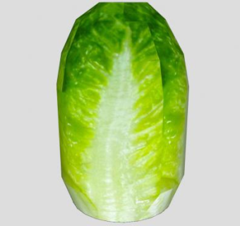 中国大白菜蔬菜SU模型下载_sketchup草图大师SKP模型