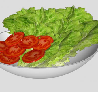 番茄蔬菜沙拉SU模型下载_sketchup草图大师SKP模型