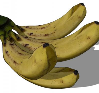 五根香蕉水果SU模型下载_sketchup草图大师SKP模型