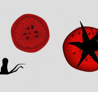 完整和切半的番茄SU模型下载_sketchup草图大师SKP模型