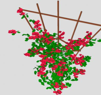 叶子花属红植物SU模型下载_sketchup草图大师SKP模型