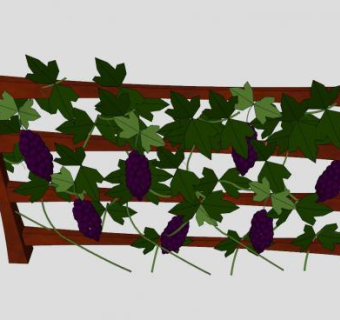 葡萄园艺花架水果植物SU模型下载_sketchup草图大师SKP模型