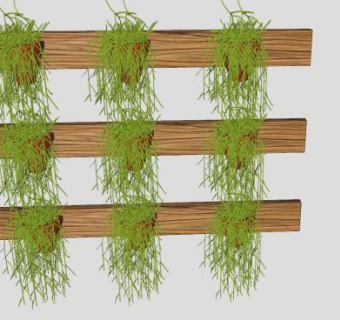 仙人掌科花架SU模型下载_sketchup草图大师SKP模型