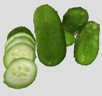 完整和切片的黄瓜SU模型下载_sketchup草图大师SKP模型