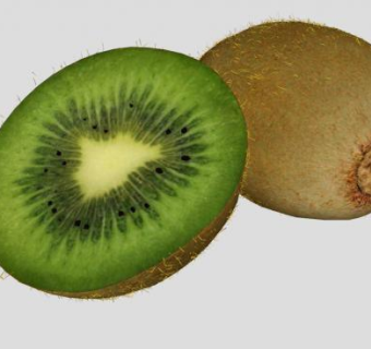 完整和切半的猕猴桃SU模型下载_sketchup草图大师SKP模型