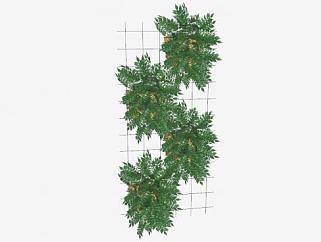 垂直花园绿色植物SU模型下载_sketchup草图大师SKP模型