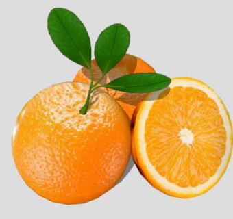 完整和切半橙子SU模型下载_sketchup草图大师SKP模型