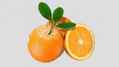 完整和切半橙子SU模型下载_sketchup草图大师SKP模型