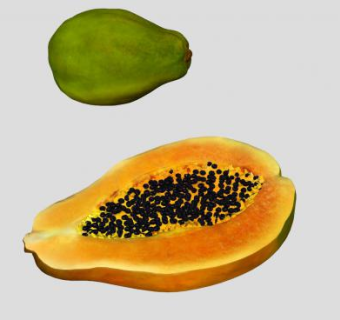 完整和切半的木瓜SU模型下载_sketchup草图大师SKP模型