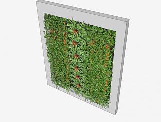 绿色植物垂直花园SU模型下载_sketchup草图大师SKP模型