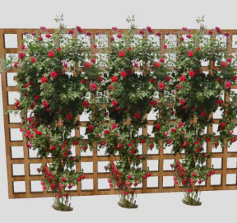 墙面花架花园SU模型下载_sketchup草图大师SKP模型