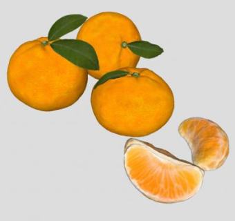 完整和掰片的橘子SU模型下载_sketchup草图大师SKP模型