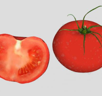 完整和切半的西红柿SU模型下载_sketchup草图大师SKP模型