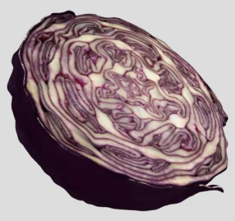 切半的紫包菜SU模型下载_sketchup草图大师SKP模型