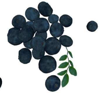 蓝色浆果蓝莓水果SU模型下载_sketchup草图大师SKP模型