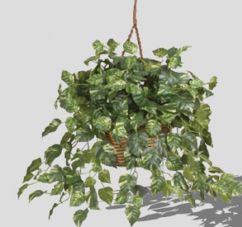 摆件植物挂兰花架SU模型下载_sketchup草图大师SKP模型