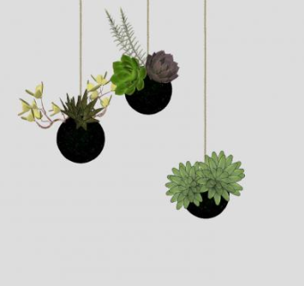 吊篮植物SU模型下载_sketchup草图大师SKP模型