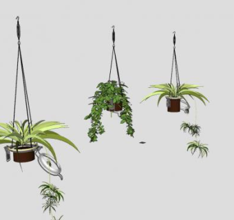 吊盆植物花盆花架SU模型下载_sketchup草图大师SKP模型