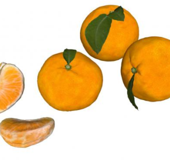橘子片和橘子SU模型下载_sketchup草图大师SKP模型