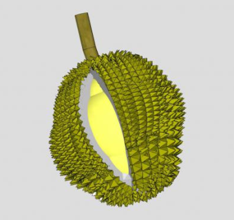 榴莲和果实SU模型下载_sketchup草图大师SKP模型