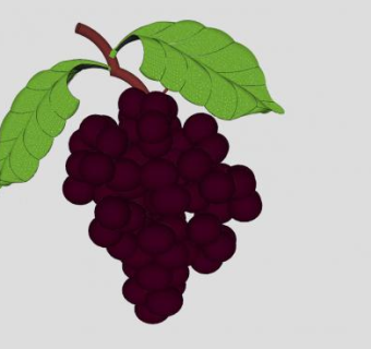 滕叶紫葡萄串SU模型下载_sketchup草图大师SKP模型
