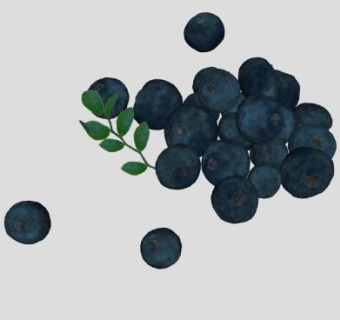 蓝莓果实水果SU模型下载_sketchup草图大师SKP模型