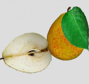 完整和切半的水果梨SU模型下载_sketchup草图大师SKP模型