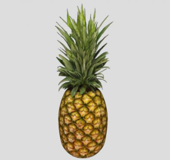 热带水果3D菠萝SU模型下载_sketchup草图大师SKP模型