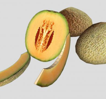 哈密瓜水果SU模型下载_sketchup草图大师SKP模型