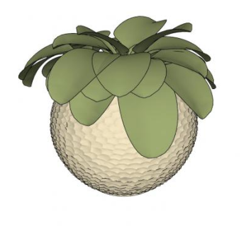 陶瓷花瓶和植物SU模型下载_sketchup草图大师SKP模型