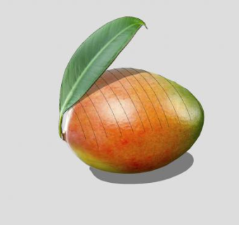 芒果和叶SU模型下载_sketchup草图大师SKP模型