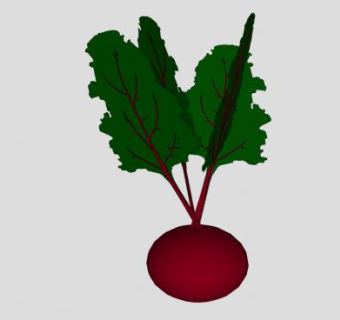 蔬菜甜菜SU模型下载_sketchup草图大师SKP模型
