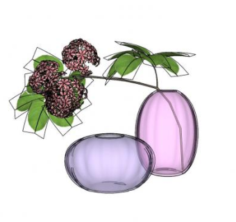 玻璃花瓶观赏花卉SU模型下载_sketchup草图大师SKP模型