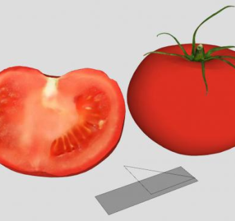 完整和切半的红番茄SU模型下载_sketchup草图大师SKP模型