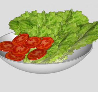 菜叶和番茄片SU模型下载_sketchup草图大师SKP模型