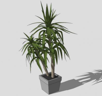 室内摆件盆栽植物SU模型下载_sketchup草图大师SKP模型