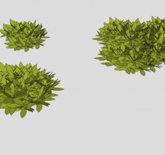 观叶植物丛SU模型下载_sketchup草图大师SKP模型