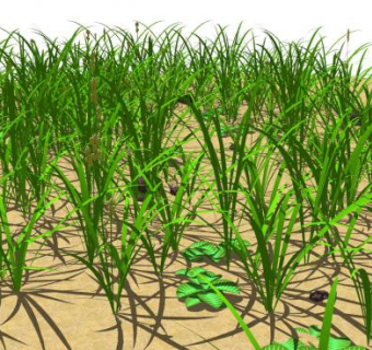 一堆堆的草和小植物SU模型下载_sketchup草图大师SKP模型