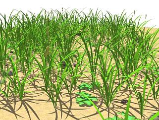 一堆堆的草和小植物SU模型下载_sketchup草图大师SKP模型