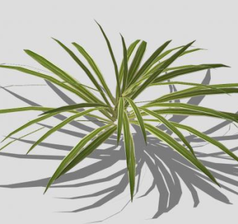 吊兰植物SU模型下载_sketchup草图大师SKP模型