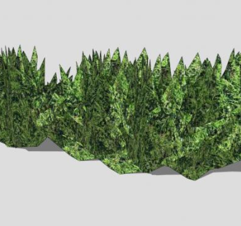 简易纹理灌木SU模型下载_sketchup草图大师SKP模型