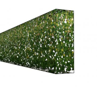 灌木树篱纹理SU模型下载_sketchup草图大师SKP模型