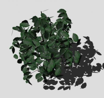现代绿叶植物SU模型下载_sketchup草图大师SKP模型