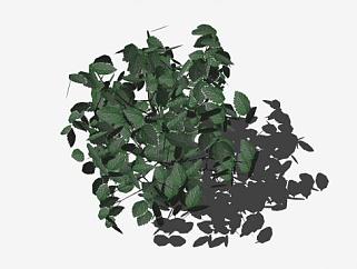 现代绿叶植物SU模型下载_sketchup草图大师SKP模型
