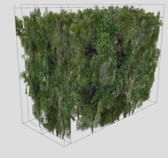 灌木篱笆草图纹理SU模型下载_sketchup草图大师SKP模型