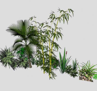 日式花园园艺植物SU模型下载_sketchup草图大师SKP模型